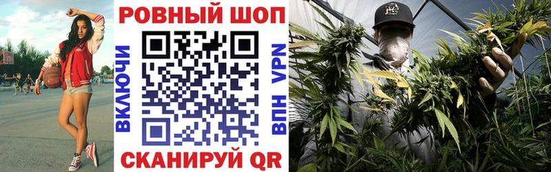 ГАШ Снежногорск
