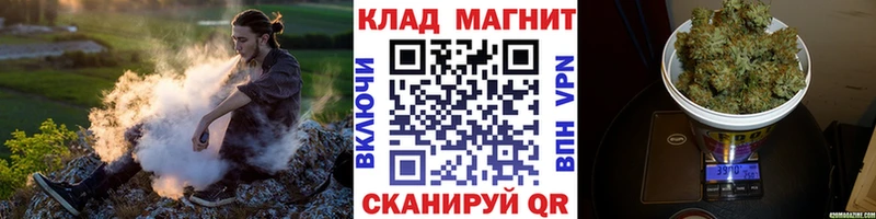 Купить наркоту Снежногорск Псилоцибиновые грибы Амфетамин ГАШ Меф A-PVP