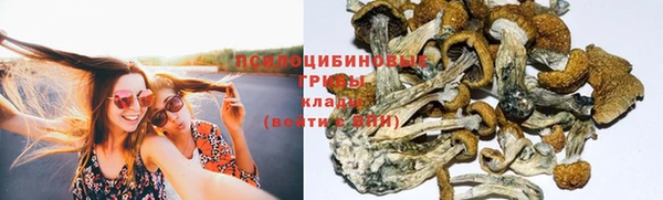 apvp Алексин
