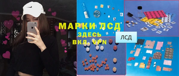 apvp Алексин