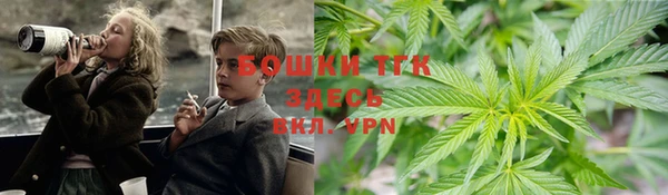 apvp Алексин