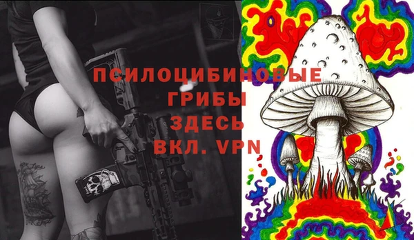 Альфа ПВП Алексеевка