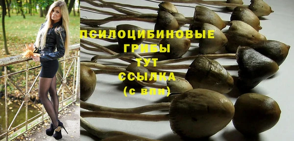 Альфа ПВП Алексеевка