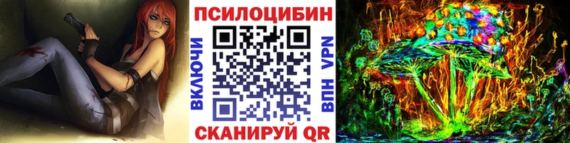 блэк спрут рабочий сайт  Снежногорск  Псилоцибиновые грибы ЛСД 