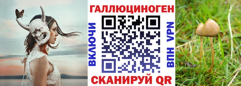 Галлюциногенные грибы MAGIC MUSHROOMS Снежногорск